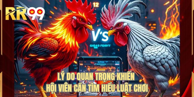 Lý do cần nhớ để tự tin tham gia chọi gà