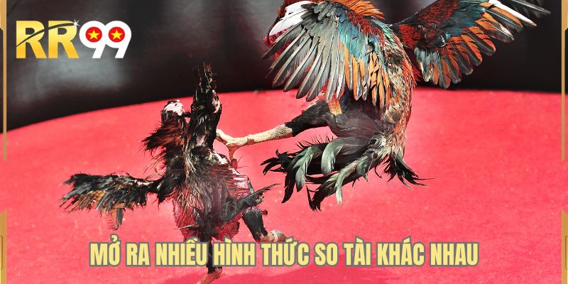 Mở ra nhiều hình thức so tài khác nhau