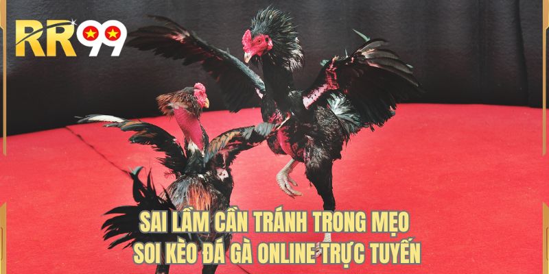 Sai lầm cần tránh trong mẹo soi kèo đá gà online trực tuyến 
