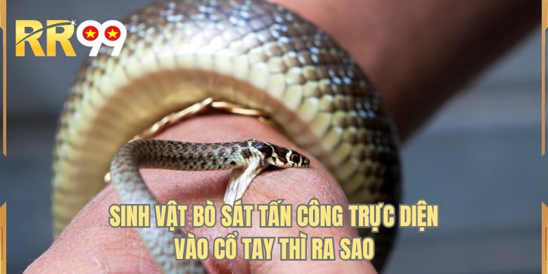 Sinh vật bò sát tấn công trực diện vào cổ tay thì ra sao