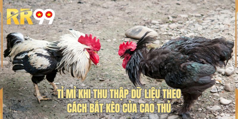 Tỉ mỉ khi thu thập dữ liệu theo cách bắt kèo của cao thủ