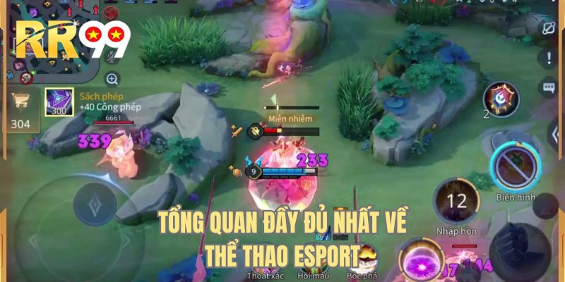 Tổng quan đầy đủ nhất về thể thao esport